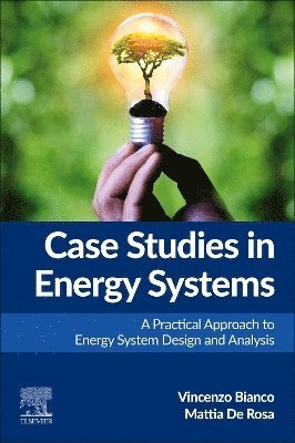 bokomslag Case Studies in Energy Systems