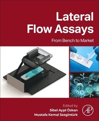 bokomslag Lateral Flow Assays