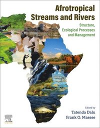 bokomslag Afrotropical Streams and Rivers