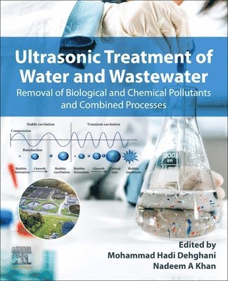 Mohammad Hadi Dehghani, Nadeem A Khan - Ultrasonic Treatment of Water and Wastewater, Häftad
