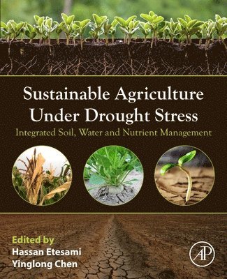 bokomslag Sustainable Agriculture under Drought Stress