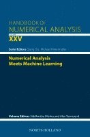 Numerical Analysis meets Machine Learning, Inbunden
