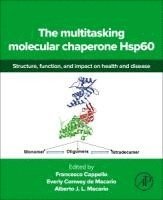 Francesco Cappello, Everly Conway de Macario, Alberto JL Macario - The multitasking molecular chaperone Hsp60, Häftad