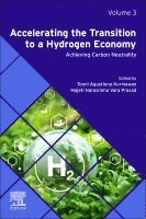 Kurniawan,Tonni Agustion, Tonni Agustiono Kurniawan, Majeti Narasimha Vara Prasad - Accelerating the Transition to a Hydrogen Economy, Häftad