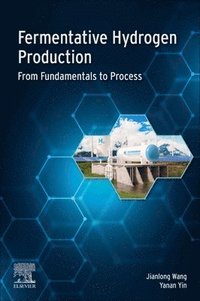 bokomslag Fermentative Hydrogen Production