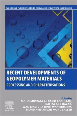Mohd Mustafa Al Bakri Abdullah, Rafiza Binti Abd Razak, Wan Mastura Binti Wan Ibrahim, Mohd Arif Anuar Mohd Salleh - Recent Developments of Geopolymer Materials, Häftad