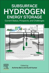 bokomslag Subsurface Hydrogen Energy Storage