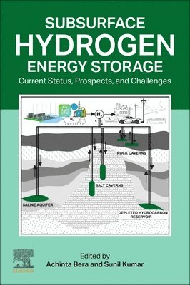 Subsurface Hydrogen Energy Storage 1