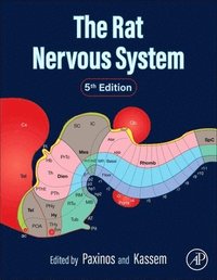 bokomslag Rat Nervous System
