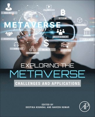 Exploring the Metaverse 1