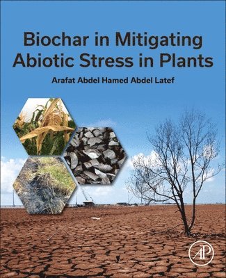 Biochar in Mitigating Abiotic Stress in Plants 1