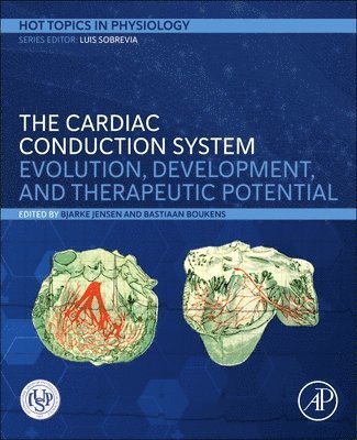 Bjarke Jensen, Bastiaan Boukens - The Cardiac Conduction System, Inbunden