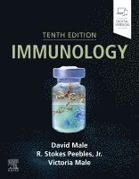 David Male, David Male, R. Stokes Peebles, Victoria Male - Immunology, Häftad
