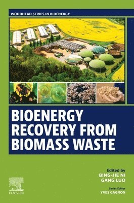 Bing-Jie Ni, Gang Luo - Bioenergy Recovery from Biomass Waste, Häftad