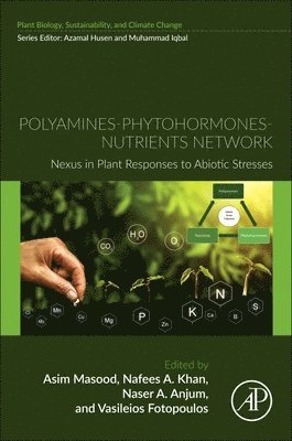 Asim Masood, Nafees A. Khan, Naser A. Anjum, Vasileios Fotopoulos - Polyamines-Phytohormones-Nutrients Network, Häftad