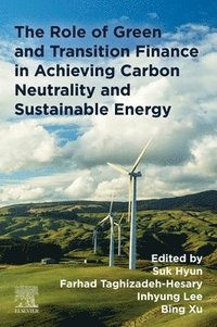 bokomslag The Role of Green and Transition Finance in Achieving Carbon Neutrality and  Sustainable Energy