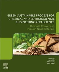 bokomslag Biomass Conversion through Nanomaterials