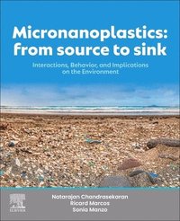 bokomslag Micronanoplastics: From Source to Sink