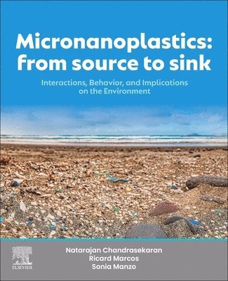 bokomslag Micronanoplastics: From Source to Sink