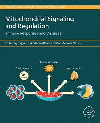 bokomslag Mitochondrial Signaling and  Regulation