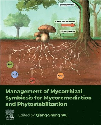 Qiang-Sheng Wu, China) Wu, Qiang-Sheng (Professor, College of Horticulture and Gardening, Yangtze University, Jingzhou - Management of Mycorrhizal Symbiosis for Mycoremediation and Phytostabilization, Häftad