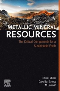 bokomslag Metallic Mineral Resources