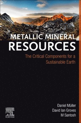 bokomslag Metallic Mineral Resources