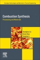 Guanghua Liu, Kexin Chen, Jiangtao Li - Combustion Synthesis, Häftad