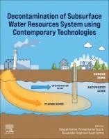 bokomslag Decontamination of Subsurface Water Resources System using Contemporary Technologies