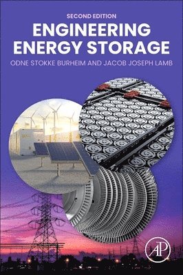 bokomslag Engineering Energy Storage