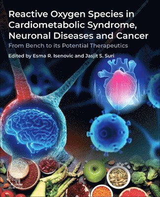 bokomslag Reactive Oxygen Species in Cardiometabolic Syndrome, Neuronal Diseases and Cancer