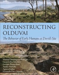bokomslag Reconstructing Olduvai