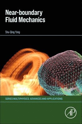 bokomslag Near-Boundary fluid mechanics