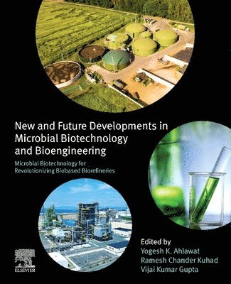 Yogesh K. Ahlawat, Ramesh Chander Kuhad, Vijai Kumar Gupta - Microbial Biotechnology for Revolutionizing Biobased Biorefineries, Häftad