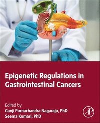 bokomslag Epigenetic Regulations in Gastrointestinal Cancers