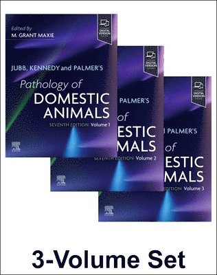 bokomslag Jubb, Kennedy, and Palmer's Pathology of Domestic Animals: Set
