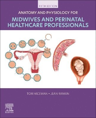 Tom McEwan, Jean Rankin - Anatomy and Physiology for Midwives and Perinatal Healthcare Professionals, Häftad
