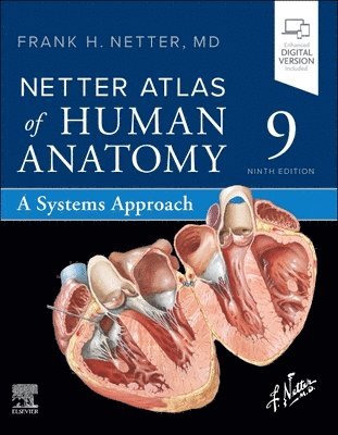 Frank H. Netter - Netter Atlas of Human Anatomy: A Systems Approach, Häftad