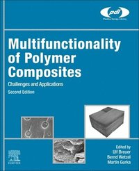 bokomslag Multifunctionality of Polymer Composites