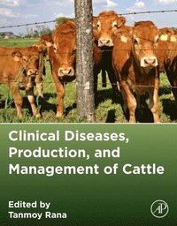 bokomslag Clinical Diseases, Production, and Management of Cattle