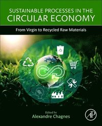 bokomslag Sustainable Processes in the Circular Economy