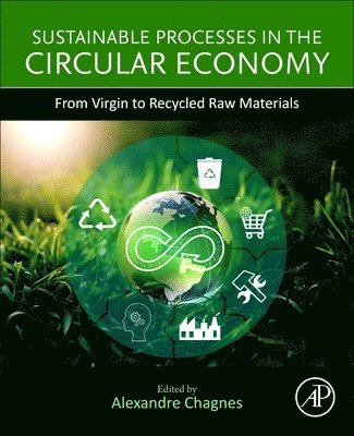 Alexandre Chagnes - Sustainable Processes in the Circular Economy, Häftad