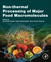 Seid Reza Falsafi, Hadis Rostamabadi, Navin Kumar Rastogi - Non-thermal Processing of Major Food Macromolecules, Häftad