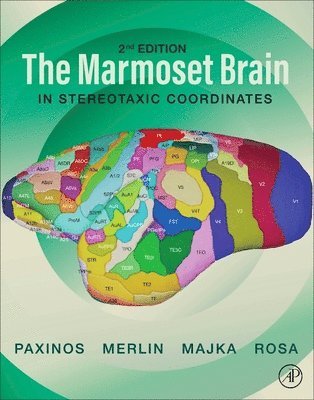 bokomslag The Marmoset Brain in Stereotaxic Coordinates