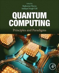 bokomslag Quantum Computing