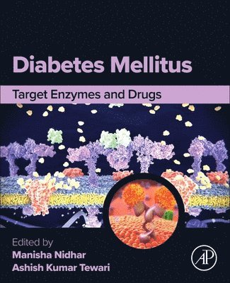 bokomslag Diabetes Mellitus