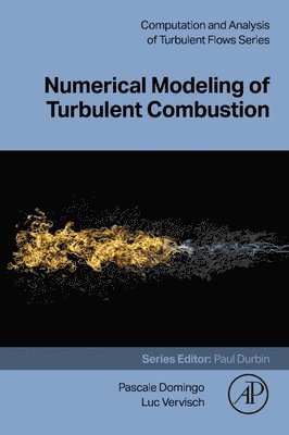 Luc Vervisch, Pascale Domingo, France) Vervisch, Luc (Normandie Universite, France) Domingo, Pascale (CORIA - Numerical Modeling of Turbulent Combustion, Häftad