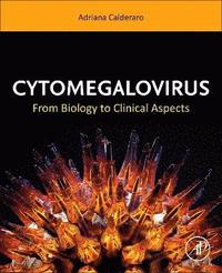 bokomslag Cytomegalovirus