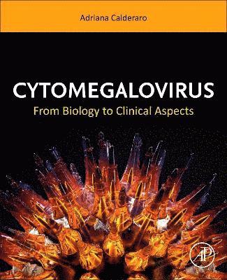 bokomslag Cytomegalovirus