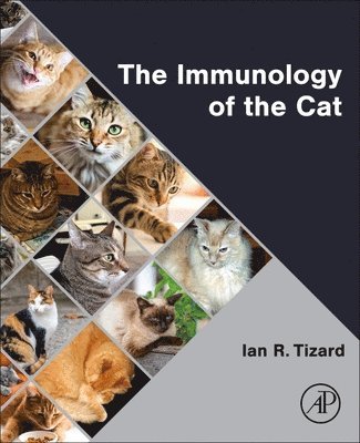 bokomslag Immunology of the Cat